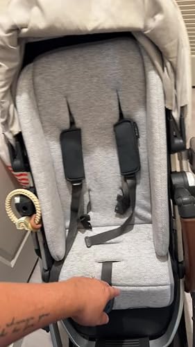 Amazon.co.jp: UPPAbaby(アップアビー) 幼児用スナッグシート